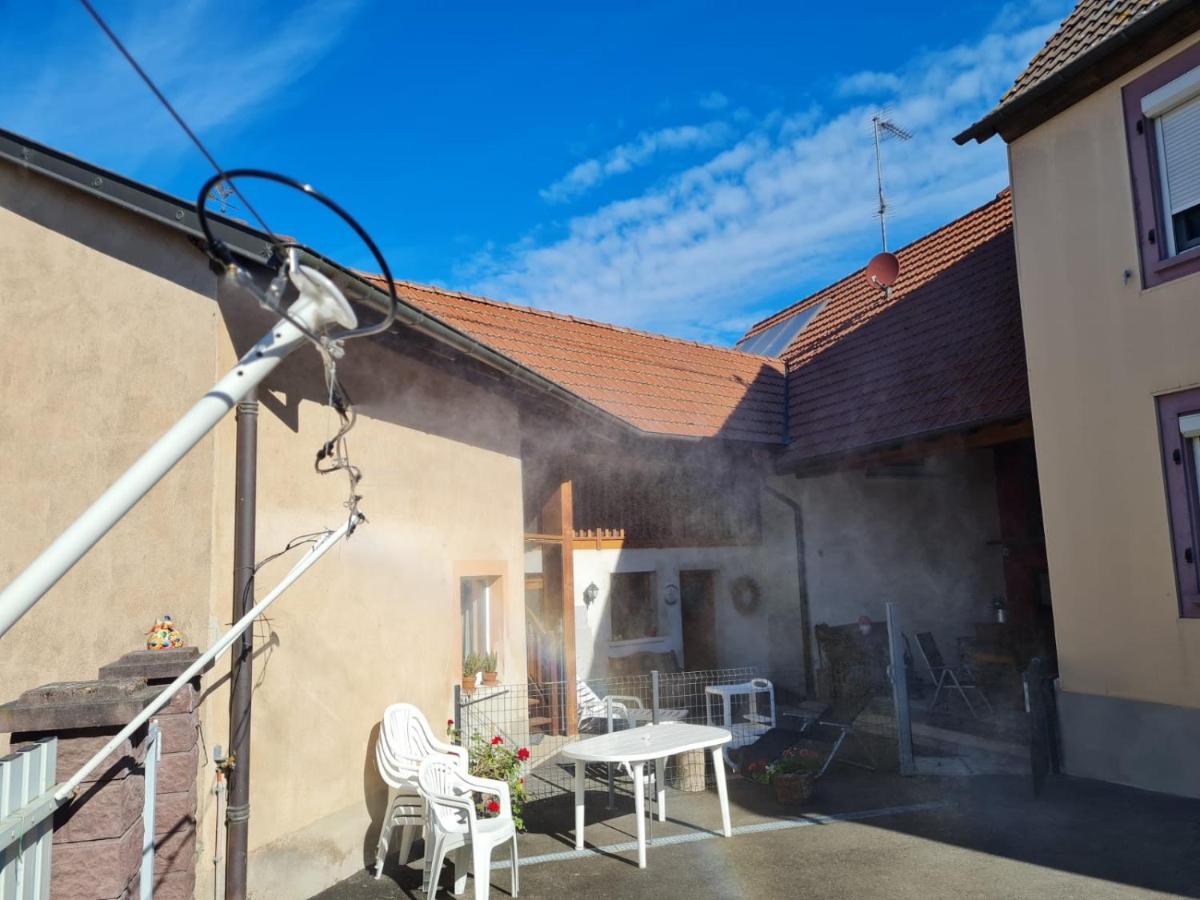 Les Chouchous Du Ried 1 Apartment Saasenheim ภายนอก รูปภาพ